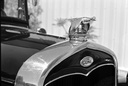 FLYING QUAIL- chrome  1930-31