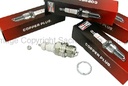 SPARK PLUG SET- CHAMPION  / hotter / set of 4 / GAP .032-.035   1928-34