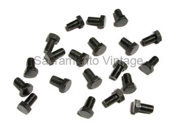 [00118-2] DIFFERENTIAL BOLTS- Raven SET OF 20 1928-31 THICK HEADS NO LOCK WASHERS