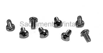 [08596] GLOVE BOX DOOR HINGE SCREWS- 1953-56 stainless