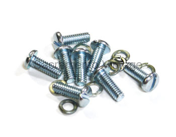 [01032-2] OUTER PANEL SCREW KIT 1928-31
