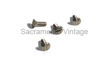 [07928] PARKING LAMP DOOR SCREWS stainless 48-50