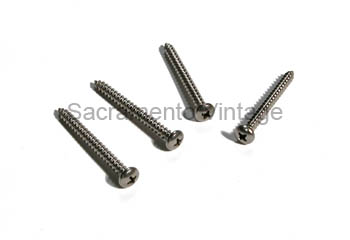 [07928-2] PARKING LAMP DOOR SCREWS stainless 65-66