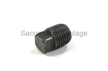 [00824-5] STEERING BOX OIL FILL PLUG 1929-31
