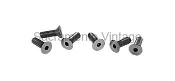 [08520-1] STRIKER SCREWS- allen/polished stainless 1953-60 set of 6
